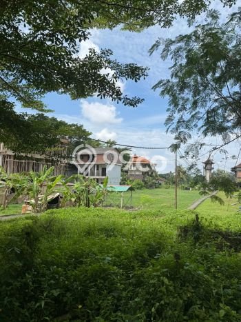 Kavling Tanah Disewakan di Ubud Gianyar Luas 2900m2 Strategis Kavling Tanah Disewakan di Ubud Gianyar Luas 2900m2 Strategis
