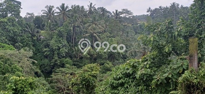 Lahan Dijual Lokasi Strategis di Gianyar dengan Luas 2700m2 Lahan Dijual Lokasi Strategis di Gianyar dengan Luas 2700m2