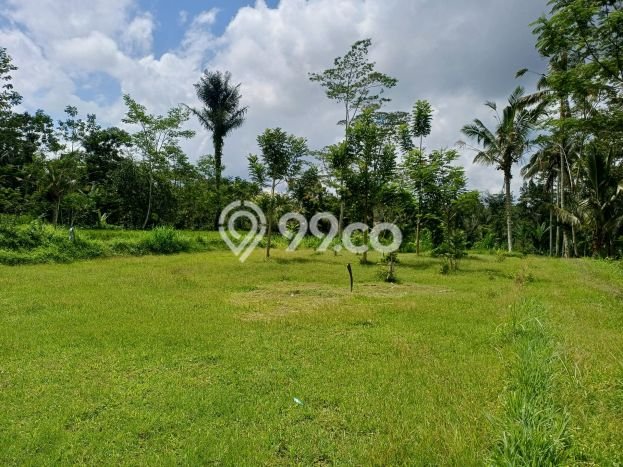 Kavling Tanah untuk Dijual di Pupuan, Gianyar, Luas 4300m2 Kavling Tanah untuk Dijual di Pupuan, Gianyar, Luas 4300m2