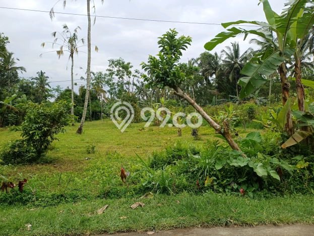 Kavling Tanah Dijual di Tegallalang Gianyar Spesifikasi 1100m2 Kavling Tanah Dijual di Tegallalang Gianyar Spesifikasi 1100m2