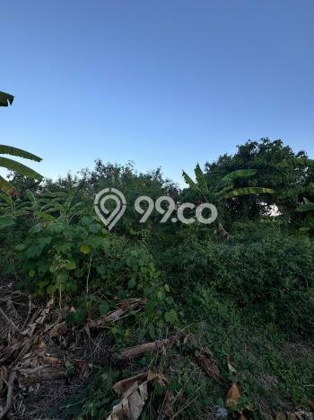 Tanah Kavling untuk Dijual di Sukawati Gianyar 941m2 Tanah Kavling untuk Dijual di Sukawati Gianyar 941m2