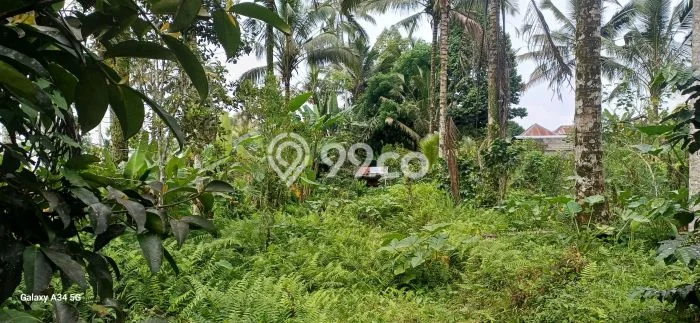Lahan Kosong Dijual di Gianyar dengan Area 1500m2 Lahan Kosong Dijual di Gianyar dengan Area 1500m2