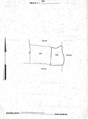 Tanah Dijual Lokasi Tegallalang, Gianyar Luas 1440m2 Legalitas Aman Tanah Dijual Lokasi Tegallalang, Gianyar Luas 1440m2 Legalitas Aman