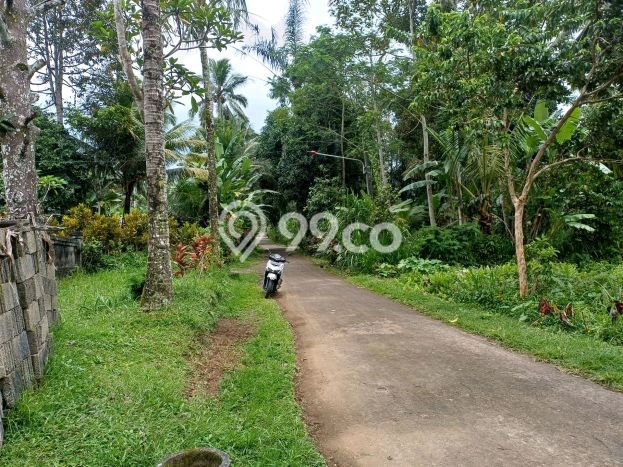 Kavling Tanah Dijual di Tegallalang Gianyar Spesifikasi 1100m2 Kavling Tanah Dijual di Tegallalang Gianyar Spesifikasi 1100m2