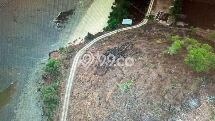 Tanah Dijual Lokasi Pringkuku, Pacitan Luas 4568m2 Legalitas Aman Tanah Dijual Lokasi Pringkuku, Pacitan Luas 4568m2 Legalitas Aman
