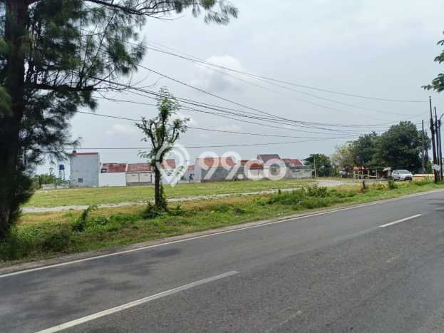 Kavling Tanah Dijual di Tasikmadu Karanganyar Spesifikasi 3830m2 Kavling Tanah Dijual di Tasikmadu Karanganyar Spesifikasi 3830m2