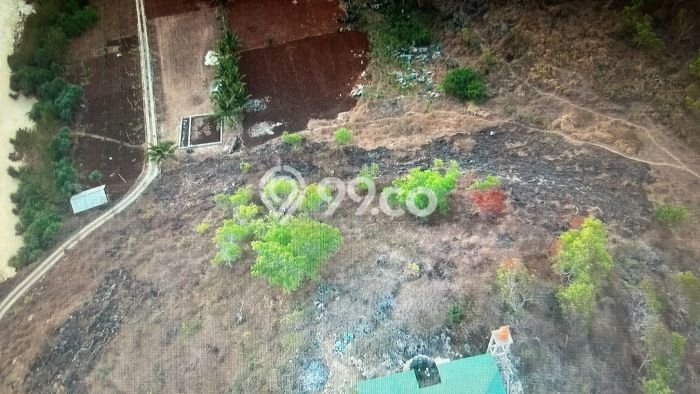 Tanah Dijual Lokasi Pringkuku, Pacitan Luas 4568m2 Legalitas Aman Tanah Dijual Lokasi Pringkuku, Pacitan Luas 4568m2 Legalitas Aman