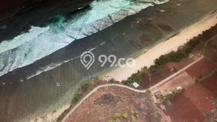 Tanah Dijual Lokasi Pringkuku, Pacitan Luas 4568m2 Legalitas Aman Tanah Dijual Lokasi Pringkuku, Pacitan Luas 4568m2 Legalitas Aman