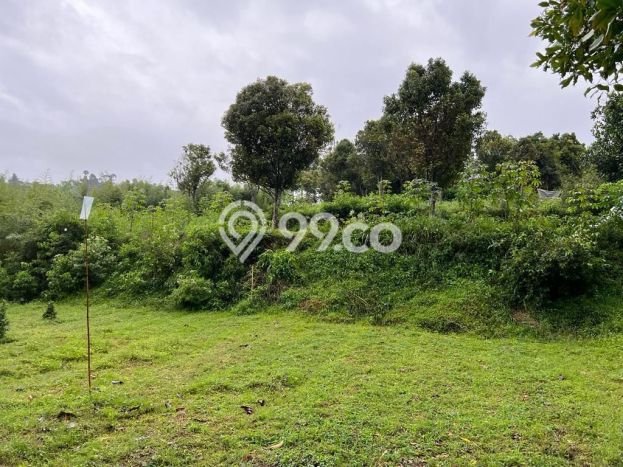 Lahan Dijual Lokasi Strategis di Bandung dengan Luas 3025m2 Lahan Dijual Lokasi Strategis di Bandung dengan Luas 3025m2