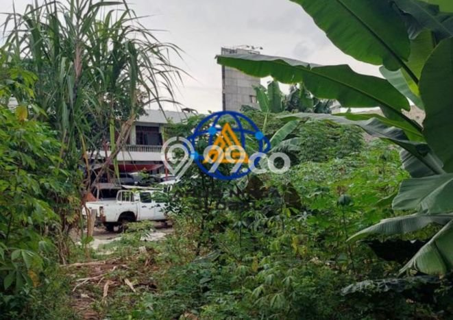 Tanah Kavling Disewakan di Warung Buncit dengan Luas 2500m2 Tanah Kavling Disewakan di Warung Buncit dengan Luas 2500m2