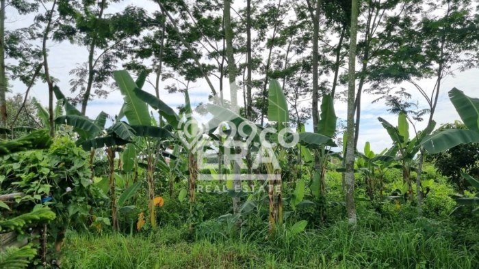 Tanah Kawasan Sukun, Luas 234m2m², Kawasan Berkembang, Dekat Sukun, Malang, Malang Tanah Kawasan Sukun, Luas 234m2m², Kawasan Berkembang, Dekat Sukun, Malang, Malang