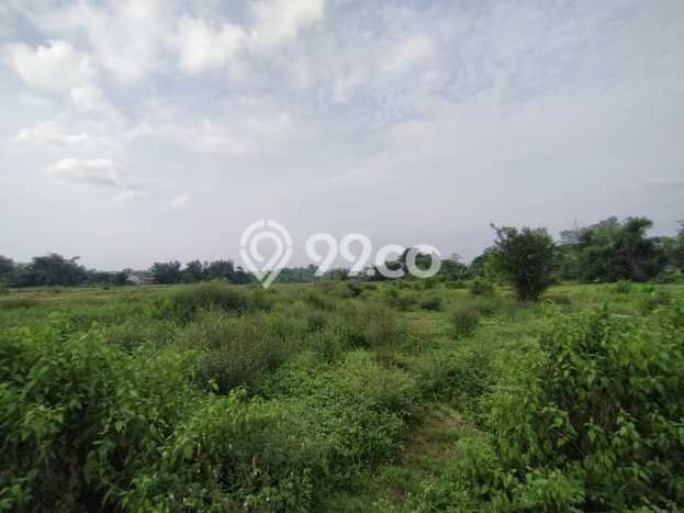 Tanah Dijual Lokasi Sukorejo Pasuruan SHM Tanah Dijual Lokasi Sukorejo Pasuruan SHM
