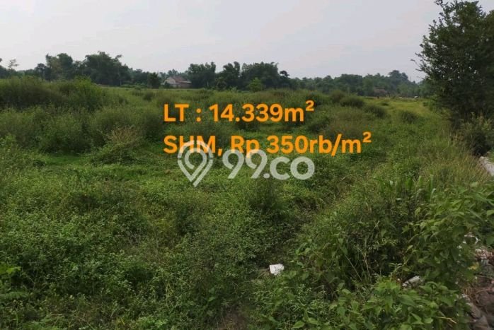 Tanah Dijual Lokasi Sukorejo Pasuruan SHM Tanah Dijual Lokasi Sukorejo Pasuruan SHM