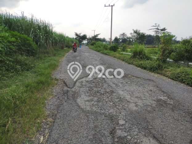 Tanah Dijual Lokasi Sukorejo Pasuruan SHM Tanah Dijual Lokasi Sukorejo Pasuruan SHM