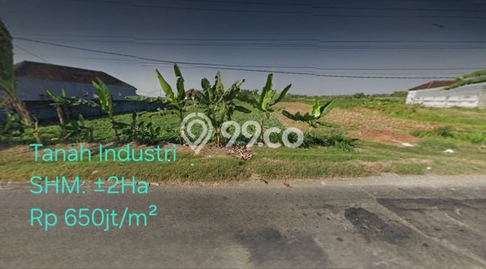 Tanah Kavling untuk Dijual di Mantup Lamongan 20000m2 Tanah Kavling untuk Dijual di Mantup Lamongan 20000m2