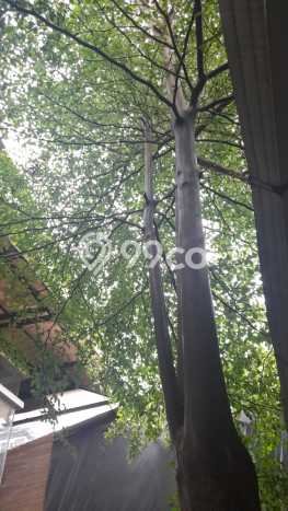 Dijual Rumah Elit Exclusive di Kebayoran Lama, Jakarta Selatan Dijual Rumah Elit Exclusive di Kebayoran Lama, Jakarta Selatan