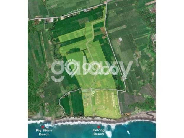 Lahan Investasi Lokasi Kediri Tabanan SHM Lahan Investasi Lokasi Kediri Tabanan SHM