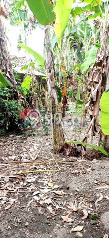 Dijual Hunian Rumah Nyaman 6 Kamar di Kediri, Kediri Dijual Hunian Rumah Nyaman 6 Kamar di Kediri, Kediri