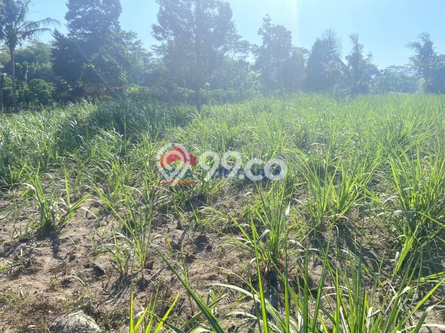 Kavling Tanah di Ngancar Dijual Luas 14440m2 Legalitas SHM Kavling Tanah di Ngancar Dijual Luas 14440m2 Legalitas SHM