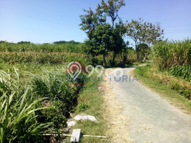 Lahan Dijual Lokasi Ngasem, Kediri dengan Luas Tanah 1237m2 dan Status SHM Lahan Dijual Lokasi Ngasem, Kediri dengan Luas Tanah 1237m2 dan Status SHM