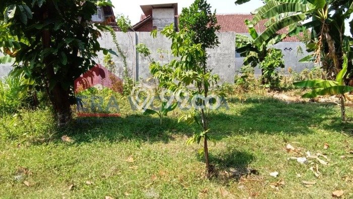 Tanah Dijual Lokasi Ngasem, Kediri dengan Luas Tanah 265m2 dan Status SHM Tanah Dijual Lokasi Ngasem, Kediri dengan Luas Tanah 265m2 dan Status SHM