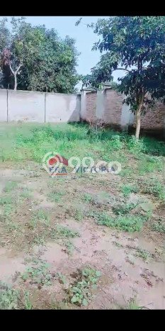 Tanah Dijual Lokasi Wates, Kediri dengan Luas Tanah 4150m2 dan Status - Tanah Dijual Lokasi Wates, Kediri dengan Luas Tanah 4150m2 dan Status -