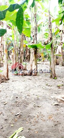Dijual Hunian Rumah Nyaman 6 Kamar di Kediri, Kediri Dijual Hunian Rumah Nyaman 6 Kamar di Kediri, Kediri