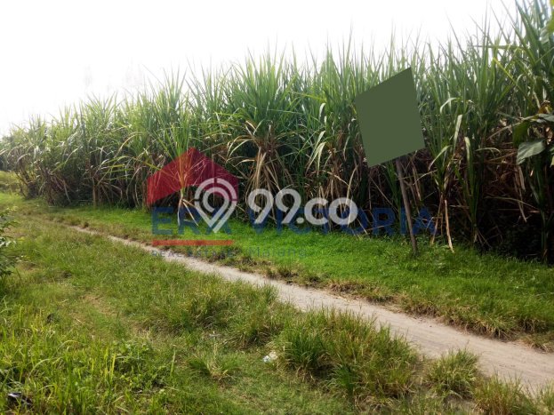 Tanah untuk Dijual di Ngasem Kediri Luas 2376m2 Tanah untuk Dijual di Ngasem Kediri Luas 2376m2