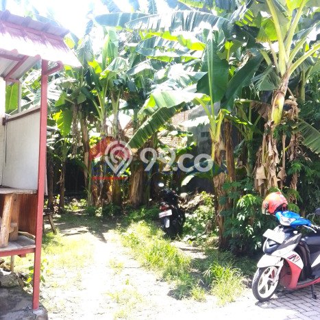 Tanah Dijual Lokasi Ngasem, Kediri Luas 210m2 Legalitas Aman Tanah Dijual Lokasi Ngasem, Kediri Luas 210m2 Legalitas Aman