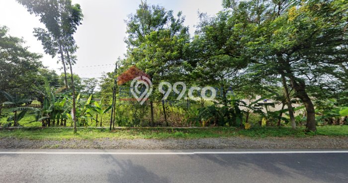 Kavling Tanah Dijual di Papar, Kediri, Luas 275m2 Area Strategis Kavling Tanah Dijual di Papar, Kediri, Luas 275m2 Area Strategis