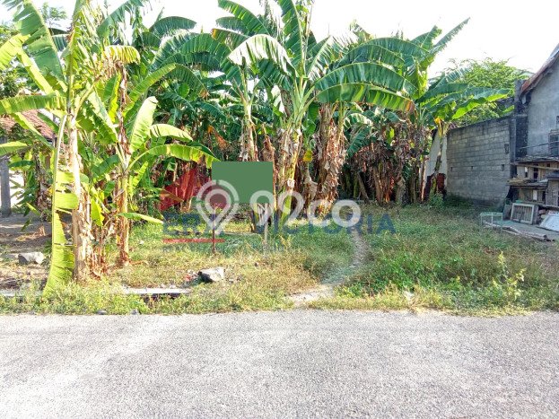 Tanah Dijual Area Strategis di Kediri Kediri 659m2 Tanah Dijual Area Strategis di Kediri Kediri 659m2