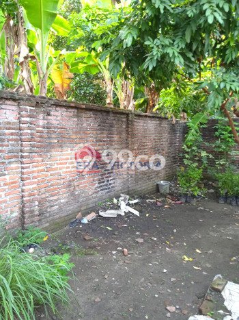 Rumah Luas Asri 3 KT Siap Pakai di Kediri Kediri Rumah Luas Asri 3 KT Siap Pakai di Kediri Kediri