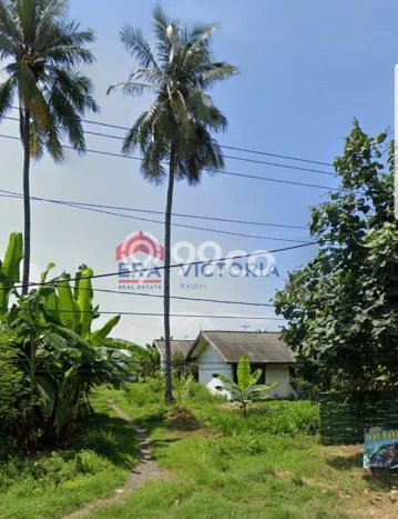 Tanah Dijual Lokasi Bungatan, Situbondo dengan Luas Tanah 5101m2 dan Status SHM Tanah Dijual Lokasi Bungatan, Situbondo dengan Luas Tanah 5101m2 dan Status SHM