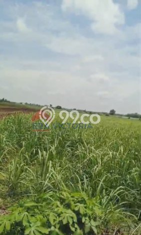 Tanah Dijual Lokasi Mojoroto Kediri SHM Tanah Dijual Lokasi Mojoroto Kediri SHM