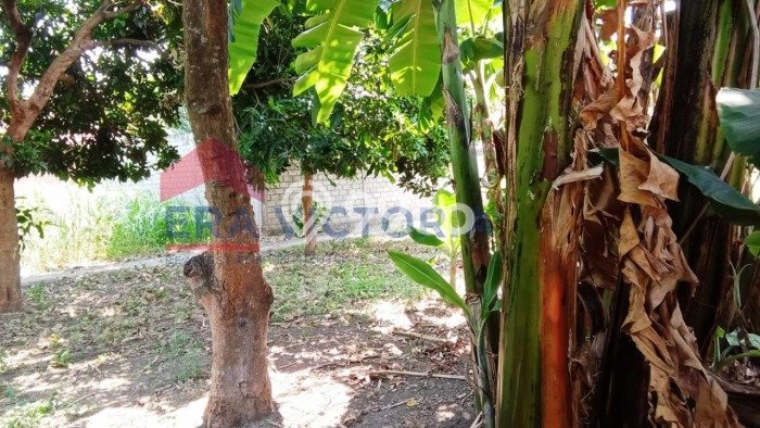 Tanah Dijual Lokasi Ngasem, Kediri dengan Luas Tanah 265m2 dan Status SHM Tanah Dijual Lokasi Ngasem, Kediri dengan Luas Tanah 265m2 dan Status SHM