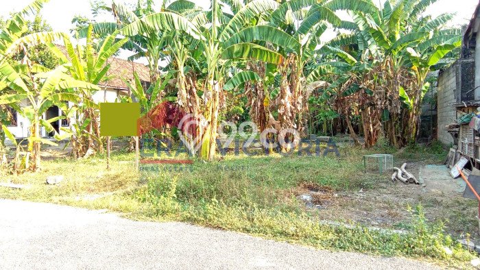 Tanah Dijual Area Strategis di Kediri Kediri 659m2 Tanah Dijual Area Strategis di Kediri Kediri 659m2