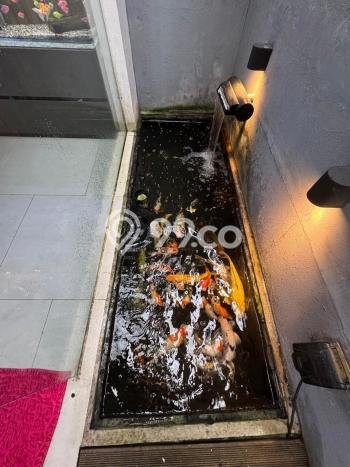 Rumah Modern 2 KT di Pasar Kemis Tangerang Full Furnished Rumah Modern 2 KT di Pasar Kemis Tangerang Full Furnished