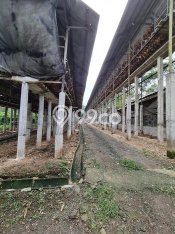 LOKASI STRATEGIS! Gudang di Gempol, Luas 1500m2m², Pusat Komersial, Mainroad LOKASI STRATEGIS! Gudang di Gempol, Luas 1500m2m², Pusat Komersial, Mainroad