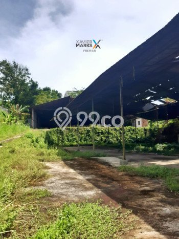 Gudang Komersial Dijual di Jabung Malang LT 6600m2 & LB 2000m2 Gudang Komersial Dijual di Jabung Malang LT 6600m2 & LB 2000m2
