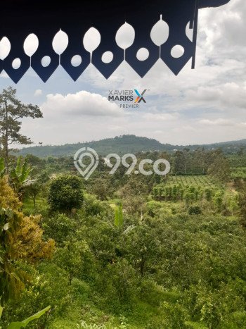 Tanah Strategis Dijual di Dau Malang 4229m2 Tanah Strategis Dijual di Dau Malang 4229m2