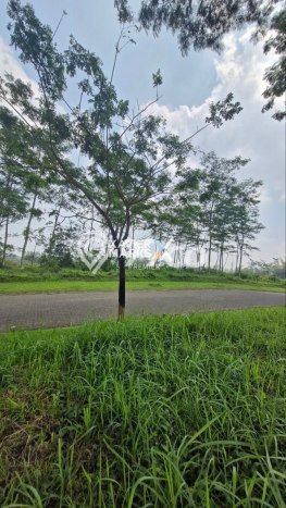 Tanah Kavling Dijual di Araya, Malang dengan Luas Tanah 324m2 Tanah Kavling Dijual di Araya, Malang dengan Luas Tanah 324m2