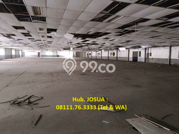 Gudang Bagus Dijual di Jababeka Bekasi Lokasi Strategis Cocok untuk Kembangkan Bisnis Gudang Bagus Dijual di Jababeka Bekasi Lokasi Strategis Cocok untuk Kembangkan Bisnis