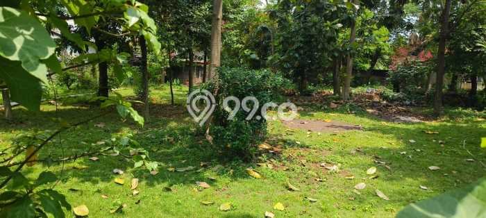 Dijual Tanah di Cipayung Jakarta Timur Luas 3000m2 - Dijual Tanah di Cipayung Jakarta Timur Luas 3000m2 -