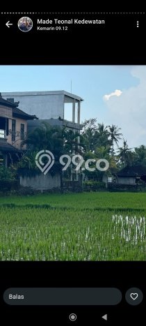 Properti Berkualitas! Vila Kawasan Ubud, Luas 170m2m², Area Asri dan aman Properti Berkualitas! Vila Kawasan Ubud, Luas 170m2m², Area Asri dan aman