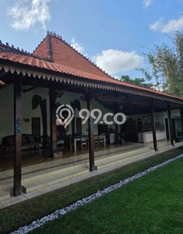 Sewa Rumah Murah di Umalas Badung Punya 3 Kamar Tidur Sewa Rumah Murah di Umalas Badung Punya 3 Kamar Tidur