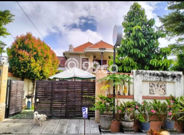 Rumah Strategis dengan Luas Tanah 1m2m² dan Luas Bangunan 1m2m² di Area Panjer, Denpasar Rumah Strategis dengan Luas Tanah 1m2m² dan Luas Bangunan 1m2m² di Area Panjer, Denpasar