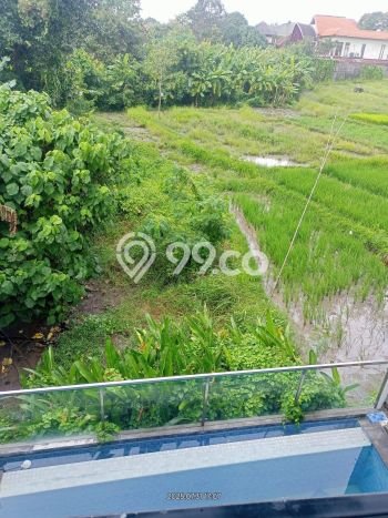 Rumah sewa siap huni 2 KT di Umalas, Badung Rumah sewa siap huni 2 KT di Umalas, Badung