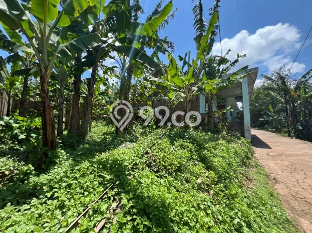 Tanah Kavling untuk Dijual di Jatinangor Sumedang 136m2 Tanah Kavling untuk Dijual di Jatinangor Sumedang 136m2