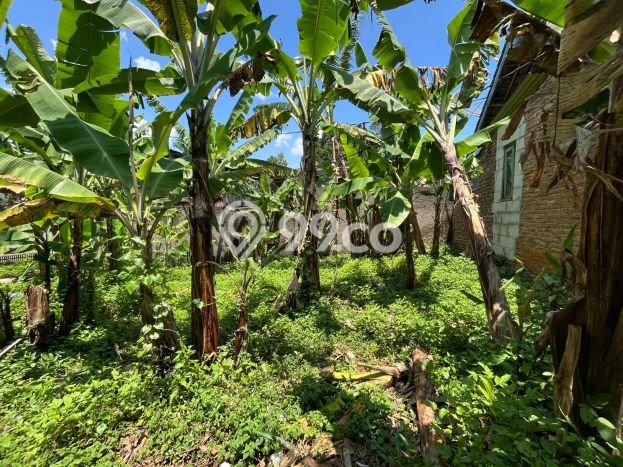 Tanah Kavling untuk Dijual di Jatinangor Sumedang 136m2 Tanah Kavling untuk Dijual di Jatinangor Sumedang 136m2
