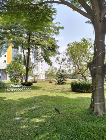 Apartemen Disewa Murah 0 KT / 1 KM di Kosambi, Tangerang Apartemen Disewa Murah 0 KT / 1 KM di Kosambi, Tangerang